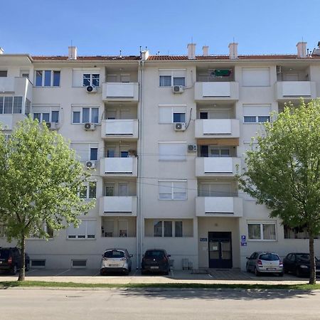 Apartman Senjak Pirot Bagian luar foto